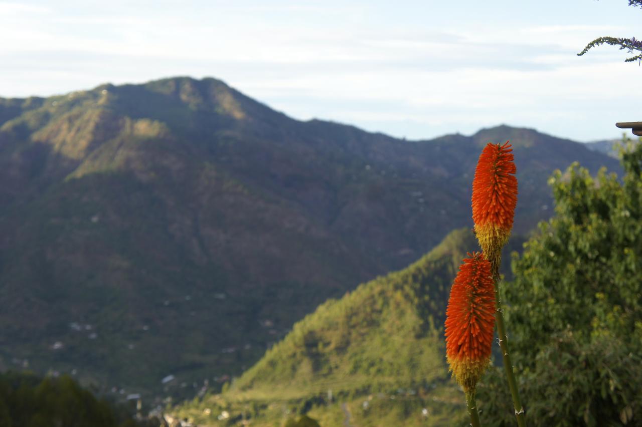 The Ramgarh Retreat Ramgarh (Uttarakhand) Экстерьер фото